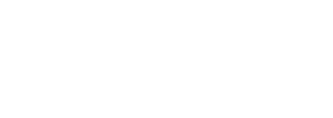 Logo Port Szczecin-Świnoujście, klient Przeładunki Wójcik